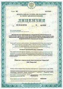 Сертификат 2